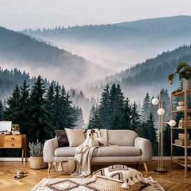 Wall mural Consalnet Natural landscape Forest in the fog VI 14455