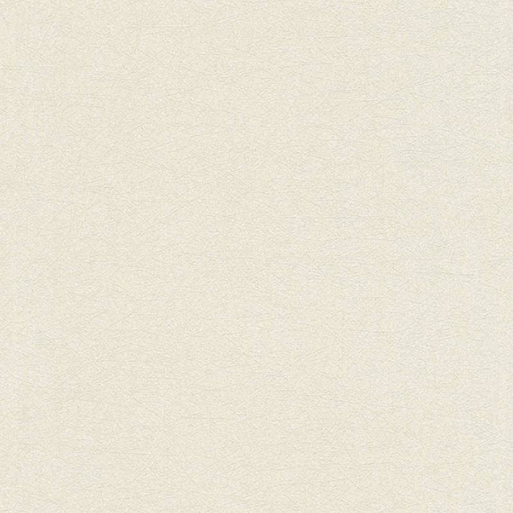 Wallpaper As Creation Profitex Premium 2022 358664 shades of white