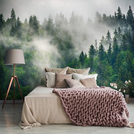 Wall mural Consalnet Natural landscape Forest in the fog 14566