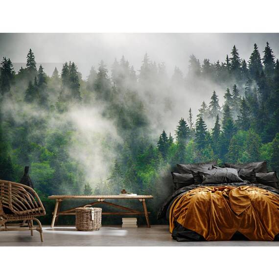 Wall mural Consalnet Natural landscape Forest in the fog 14566