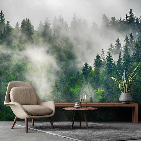 Wall mural Consalnet Natural landscape Forest in the fog 14566