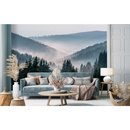 Wall mural Consalnet Natural landscape Forest in the fog VI 14455