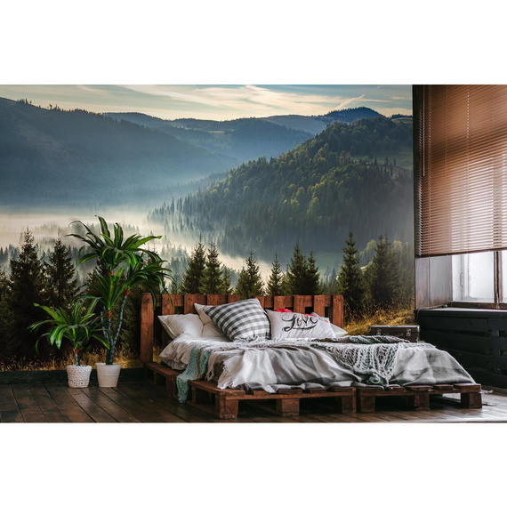 Wall mural Consalnet Natural landscape Forest in the mountains 14537