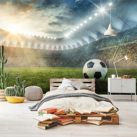 Wall mural Consalnet Football stadium II 14576