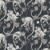 odcienie czerni || odcienie szarości