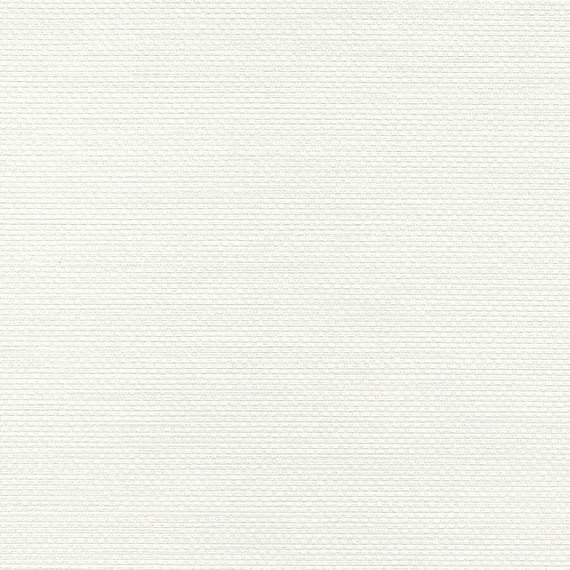 Tapeta ścienna Vinylpex Ralph - W47.419