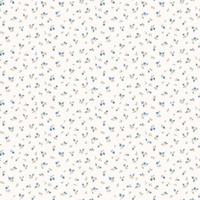 shades of white || shades of blue