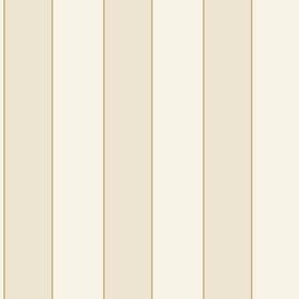 Wallpaper Caselio Basics (Moonlight Golden Lines) - 101070103 (BAI 10107 01 03)