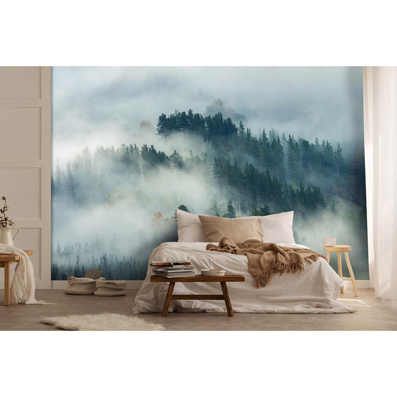 Wall mural Consalnet Natural landscape Forest in the fog 14552