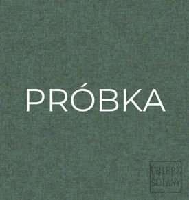 Próbka