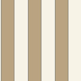 Wallpaper Caselio Basics (Moonlight Golden Lines) - 101070217 (BAI 10107 02 17)