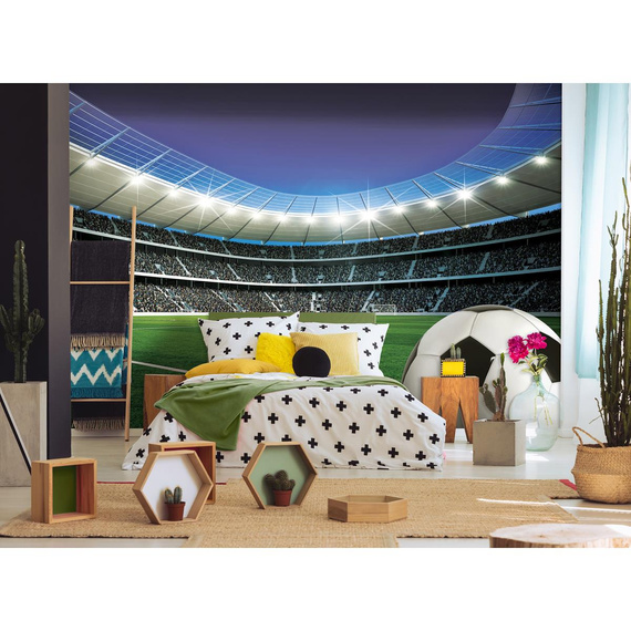 Wall mural Consalnet Football stadium 14550