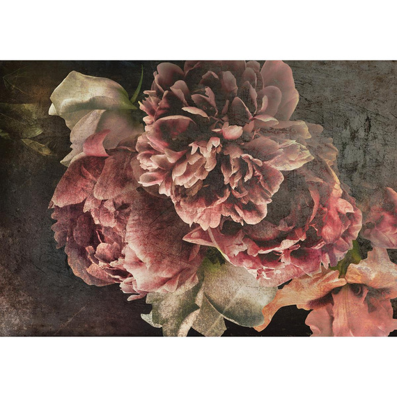 Wall mural Consalnet Vintage Flowers 14568