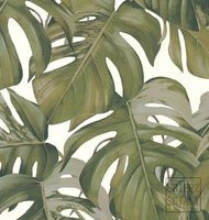 odcienie bieli || odcienie szarości || odcienie zieleni