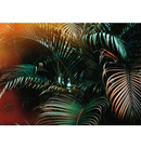 Fototapeta AS Creation Designwalls Jungle Colour DD118795