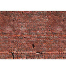 Fototapeta AS Creation Designwalls Brick Red DD118784