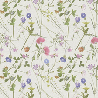 Beigetöne || Mehrfarbig