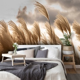 Wall mural Consalnet Nature landscape pampas grass 14597