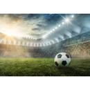 Wall mural Consalnet Football stadium II 14576