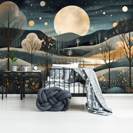 Wall mural Consalnet Night landscape 14729