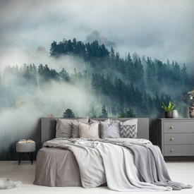 Wall mural Consalnet Natural landscape Forest in the fog 14552