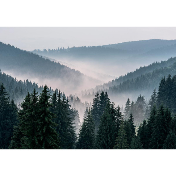 Fototapete Consalnet Naturlandschaft Wald im Nebel VI 14455