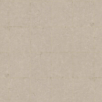 shades of beige || shades of brown