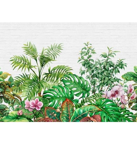 Fototapeta AS Creation Designwalls Tropical Wall DD118530