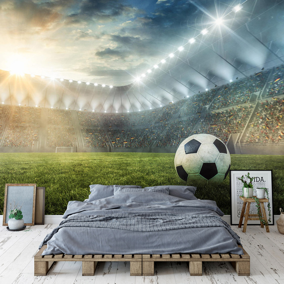 Wall mural Consalnet Football stadium II 14576