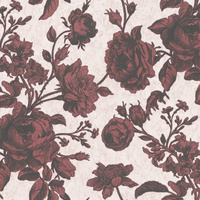 shades of red || shades of pink