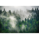 Wall mural Consalnet Natural landscape Forest in the fog 14566