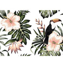 Fototapeta AS Creation Designwalls Toucan 1 DD118576