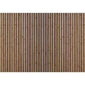 Fototapeta Lamele Złoty Dąb LZ815