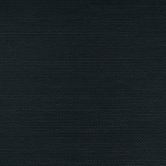 Tapeta ścienna Vinylpex Ralph - W47.05