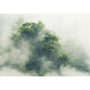 Wall mural Consalnet Natural landscape Forest in the fog V 14519