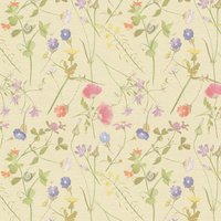 Gelbtöne || Mehrfarbig