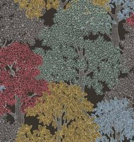 shades of black || multicolor