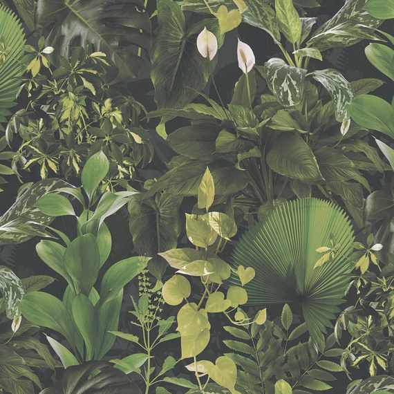 Tapeta ścienna AS Creation Pint Walls 2 - 39698-1