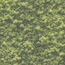 Tapeta ścienna imitująca mech AS Creation Pint Walls 2 - 39405-1