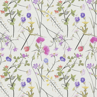 Weißtöne || Mehrfarbig