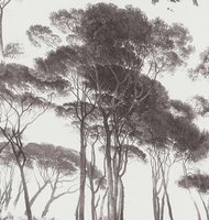 Weißtöne || Brauntöne