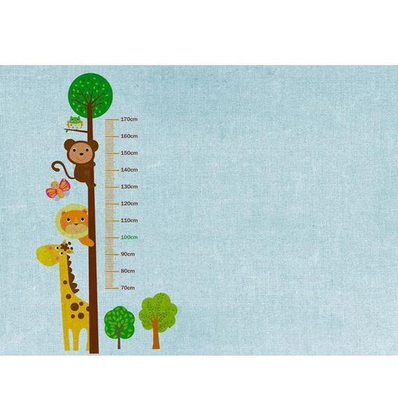 Fototapeta AS Creation Designwalls Kids Grow Stick 1 DD118646