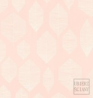 shades of white || shades of pink || shades of orange