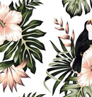 Fototapeta AS Creation Designwalls Toucan 1 DD118576