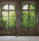 Fototapeta AS Creation Designwalls Old Window DD118794