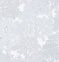 shades of white || shades of grey